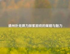 德州扑克牌力探索游戏的策略与魅力