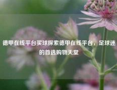 德甲在线平台买球探索德甲在线平台，足球迷的首选购物天堂