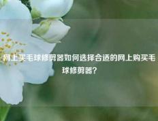 网上买毛球修剪器如何选择合适的网上购买毛球修剪器？