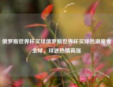 俄罗斯世界杯买球俄罗斯世界杯买球热潮席卷全球，球迷热情高涨