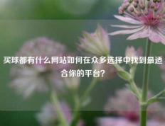 买球都有什么网站如何在众多选择中找到最适合你的平台？