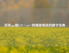 买球app簪ly79丶cn一枚精挑细选的数字宝典