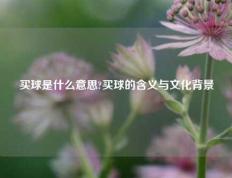 买球是什么意思?买球的含义与文化背景
