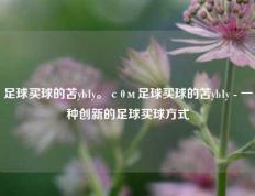 足球买球的苫yb1y。с0м足球买球的苫yb1y - 一种创新的足球买球方式