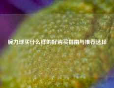 腕力球买什么样的好购买指南与推荐选择