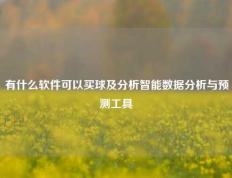 有什么软件可以买球及分析智能数据分析与预测工具
