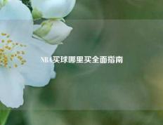NBA买球哪里买全面指南