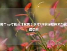 哪个app才能买球聚焦于买球APP的深度探索与选择指南