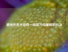 德州扑克小游戏一场智力与策略的对决