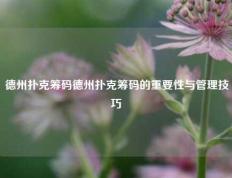 德州扑克筹码德州扑克筹码的重要性与管理技巧