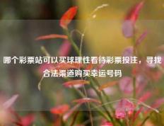 哪个彩票站可以买球理性看待彩票投注，寻找合法渠道购买幸运号码
