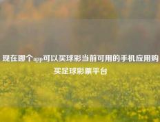现在哪个app可以买球彩当前可用的手机应用购买足球彩票平台