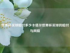 世界杯买球赔付多少卡塔尔世界杯买球的赔付与风险