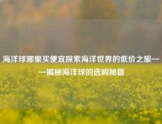 海洋球哪里买便宜探索海洋世界的低价之旅——揭秘海洋球的选购秘籍