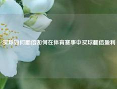 买球如何翻倍如何在体育赛事中买球翻倍盈利