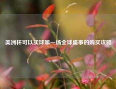 美洲杯可以买球嘛一场全球盛事的购买攻略