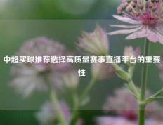 中超买球推荐选择高质量赛事直播平台的重要性