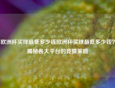 欧洲杯买球最低多少钱欧洲杯买球最低多少钱？揭秘各大平台的竞猜策略
