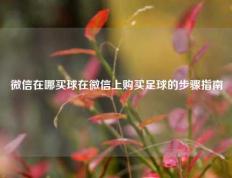 微信在哪买球在微信上购买足球的步骤指南