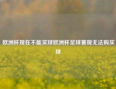 欧洲杯现在不能买球欧洲杯足球赛现无法购买球