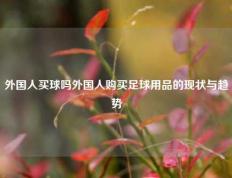 外国人买球吗外国人购买足球用品的现状与趋势
