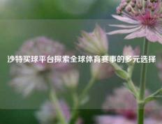 沙特买球平台探索全球体育赛事的多元选择