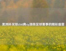 美洲杯买球d168典vip顶级足球赛事的精彩盛宴