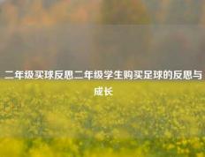 二年级买球反思二年级学生购买足球的反思与成长