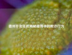德州扑克挂机揭秘赌博中的欺诈行为