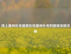线上德州扑克提现在线德州扑克的提现流程详解