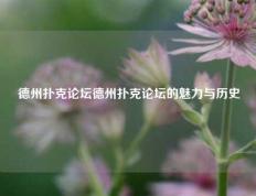 德州扑克论坛德州扑克论坛的魅力与历史