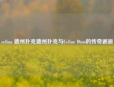 celina 德州扑克德州扑克与Celine Dion的传奇邂逅