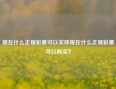 现在什么正规彩票可以买球现在什么正规彩票可以购买？