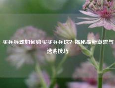 买兵兵球如何购买买兵兵球？揭秘最新潮流与选购技巧