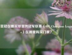亚冠在哪买球亚洲冠军联赛（AFC Champions League）在哪里购买门票？