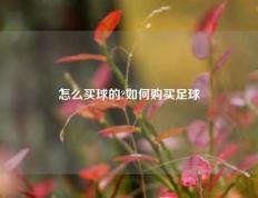 怎么买球的?如何购买足球