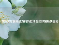 世博买球骗局是真的吗世博会买球骗局的真相