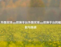 外围买球app担保平台外围买球app担保平台的崛起与挑战