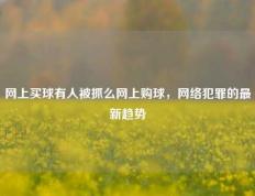 网上买球有人被抓么网上购球，网络犯罪的最新趋势