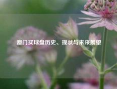 澳门买球盘历史、现状与未来展望