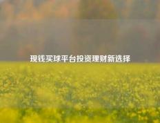 现钱买球平台投资理财新选择
