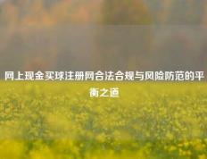 网上现金买球注册网合法合规与风险防范的平衡之道
