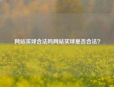 网站买球合法吗网站买球是否合法？