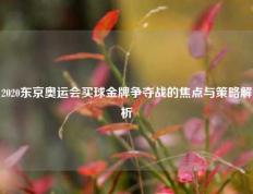 2020东京奥运会买球金牌争夺战的焦点与策略解析