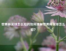 世界杯买球怎么赔的如何理解世界杯买球怎么赔？