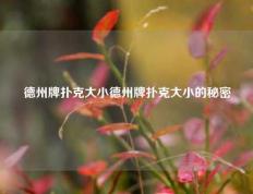 德州牌扑克大小德州牌扑克大小的秘密