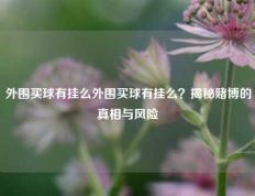外围买球有挂么外围买球有挂么？揭秘赌博的真相与风险