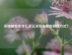 买球都有些什么买法买球有那些购买方式？