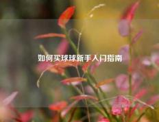如何买球球新手入门指南