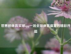 世界杯体育买球app一场全球体育盛宴的精彩开篇